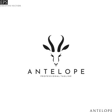 Antelope Springbok Head. Logo Template