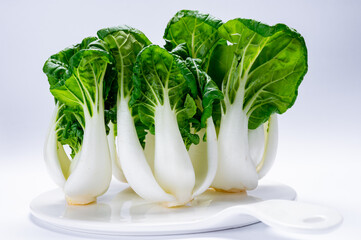 Young white bok choy or bak choi Chinese cabbage