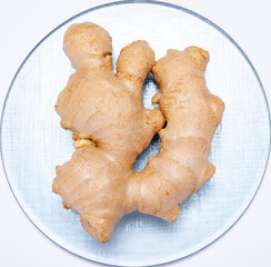Fresh ginger rhizome root used in traditional medicines and for flavoring meals isolated on white