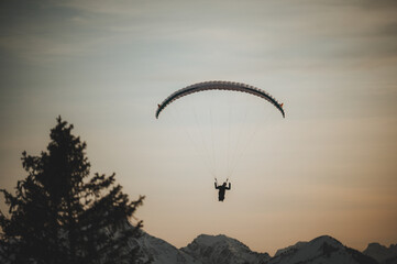 Paraglider
