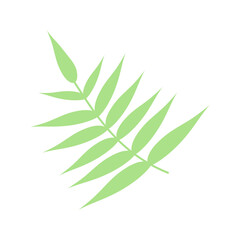 Fototapeta premium Green leaf, herbal element. Stock vector illustration isolated on white background. Can be used as an isolated sign, symbol, icon, for organic products. Spring botanical plant vector flat illustration