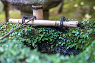 日本のつくばい　和風イメージ