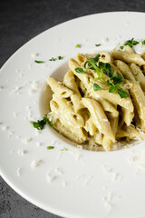 Penne pasta with pesto and parmesan cheese on white plate. Close up