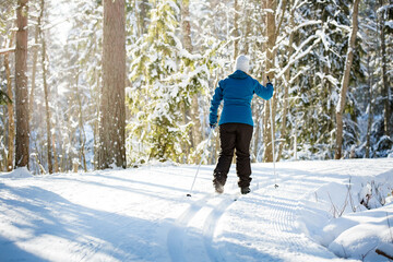 Winter sport in Finland - cross-country skiing. Pregnant woman skiing in sunny winter forest...