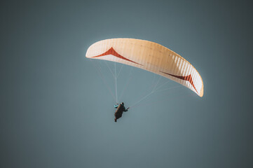 Paraglider