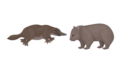 Common Wombat and Duck Billed Platypus as Australian Animals Vector Set