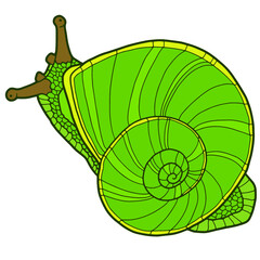 Green snail. An unusual snail. Bright realistic illustration. 