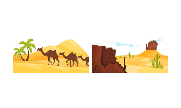 Desert Landscapes with Sand, Cactus and Rocky Mountain Vector Set