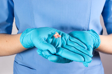 Fototapeta premium Dentist holding ceramic artificial false unit tooth. Dental prosthesis in gloved hands of the doctor close-up. Dentistry conceptual photo. Prosthetic dentistry. False teeth