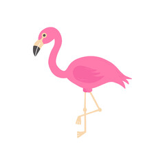 Pink flamingo vector cute hand drawn icon