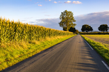 Asphaltierer Weg in einer Ortschaft in Abendstimmung