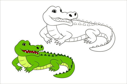 Cute green crocodile, coloring book for children. Vector illustration isolated line art, in cartoon style