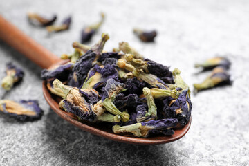 Fototapeta na wymiar Spoon with dry organic blue Anchan on grey table, closeup. Herbal tea