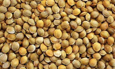 Textured  background  from dry natural apricot  kernels close-up.
