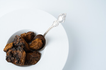 Chaga, birch tree mushroom in white plate for soup with silver spoon on blue background. Natural...