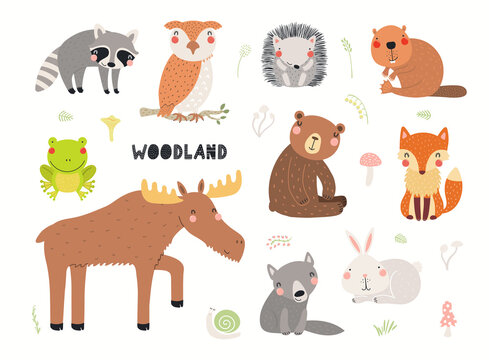 Cute wild animals clipart collection, isolated on white. Hand drawn vector illustration. Woodland elements set. Scandinavian style flat design. Concept for kids fashion, textile print, poster, card