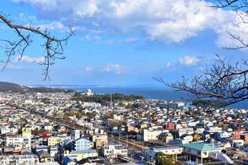吾妻山中腹で桜の木の間から見下ろす湘南二宮の街