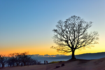 夕焼けの吾妻山公園頂上の大木と人のシルエット