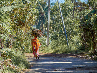Comorian woman carrying brushwood on her head in traditional orange dress.