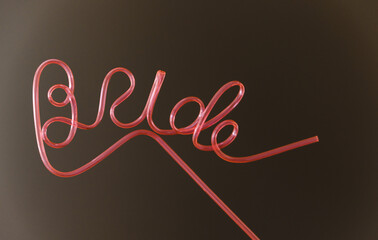 plastic straw for water. details for a bachelorette party. tube with the inscription bride. wedding details. tubules for the holidays.