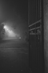 Naklejka premium Park in the fog