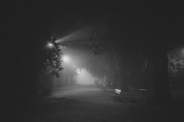 Park in the fog