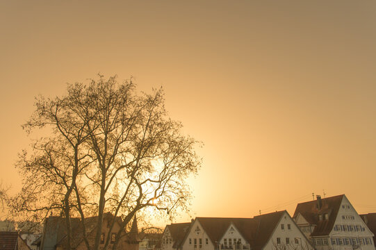 Sonnenaufgang mit Saharastaub in der Atmosph&auml;re bei Kirchheim unter Teck