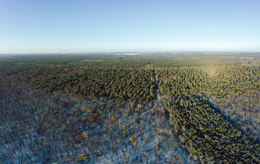 aerial drone view on winter forest with sun