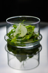 vegetarian salad greens in a transparent plate