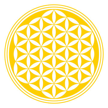 Inverted golden Flower of Life. A geometrical figure, spiritual symbol and sacred geometry. Overlapping circles forming a mandala, and flower like symmetrical pattern. Illustration over white. Vector.