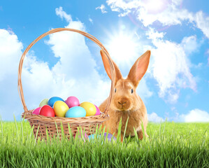 Cute bunny and wicker basket with colorful Easter eggs on green grass outdoors