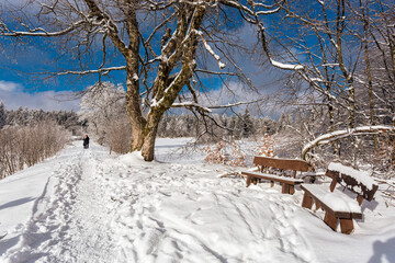 Schneelandschaft mit Baum und Bank 