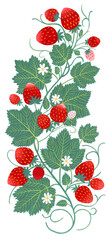Hand drawn strawberry ornament isolated on white background. Art painting in cold colors.