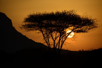 Tsavo - Sunrise