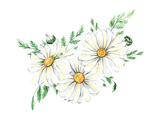 Fototapeta na wymiar Watercolor daisy wreath clipart, Chamomile flowers clipart, hand painted daisies frames, Watercolor white flowers, meadow flowers isolated for baby shower, wedding, birthday card, easter
