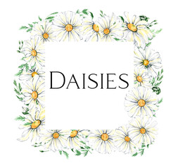 Watercolor daisy wreath clipart, Chamomile flowers clipart, hand painted daisies frames, Watercolor white flowers, meadow flowers isolated for baby shower, wedding, birthday card, easter