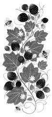 Hand drawn strawberry ornament isolated on white background. Monochrome art painting