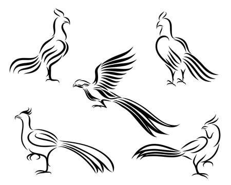 Chicken and pheasant line art vector picture It's a set of five pictures.