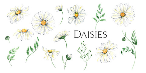 Watercolor daisy wreath clipart, Chamomile flowers clipart, hand painted daisies frames, Watercolor white flowers, meadow flowers isolated for baby shower, wedding, birthday card, easter - 416517058
