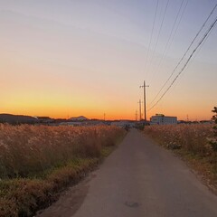 노을과 함께 걷는 갈대 숲 속 