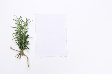 Summer still life scene. Closeup of fresh rosemary sprigs tied with twine on a white background blank paper card, invitations mockup scene. Flat lay, top view.