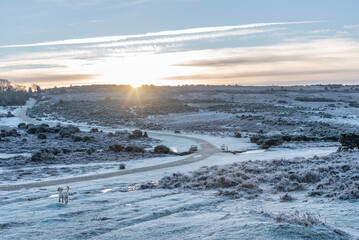 winter landscape with snow