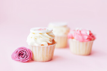 Three beautiful appetizing white and pink cupcakes against a pink background. Sweet dessert for any festive table