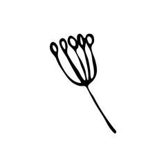 Doodle botany element. Hand-drawn images of flora. Image for various designs.