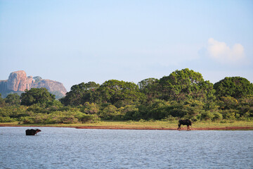 Tierpark mit wilden Tieren in Sri Lanka