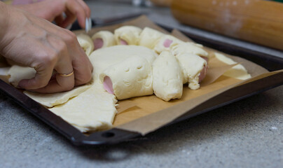 Cooking sausages in dough with cheese at home in the kitchen for children.