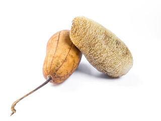 Dry gourd luffa fruit and natural scrubber isolate on white background, natural product