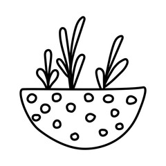 Houseplant in the pot. Vector doodle illustration. Home gardening