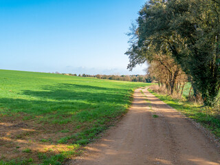 green color sown field at ground level beautiful landscape with mountains in background