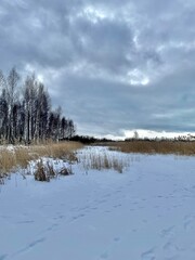 Baltic Sea winter coast beach Daugavgriva pier Latvia